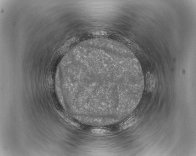 X0000059850614200511181540