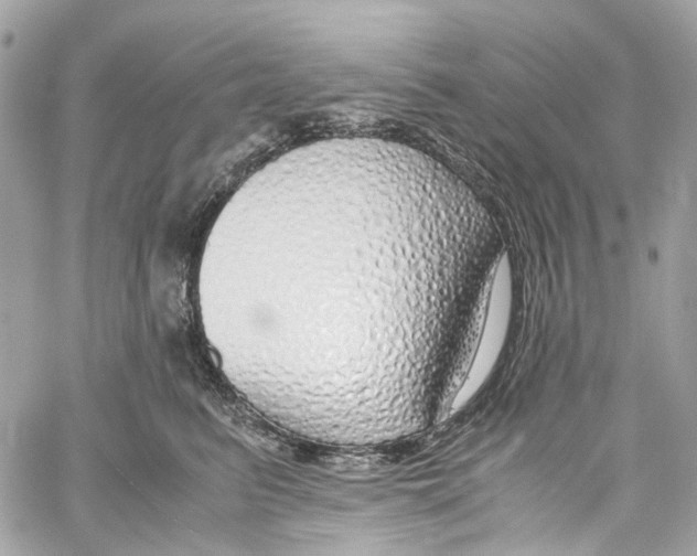 X0000059850615200511181540