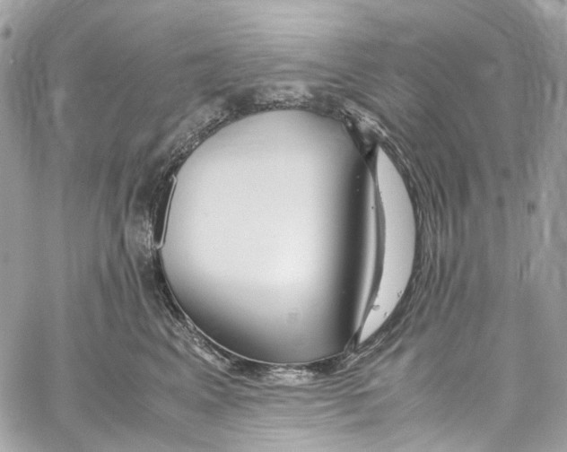 X0000059850617200511181540