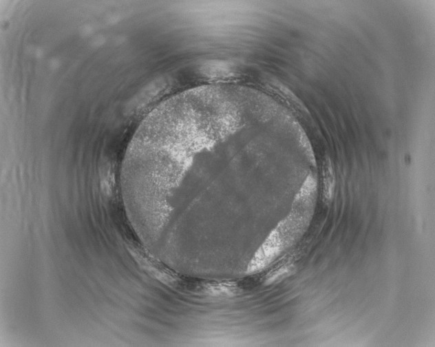 X0000059850618200511181540