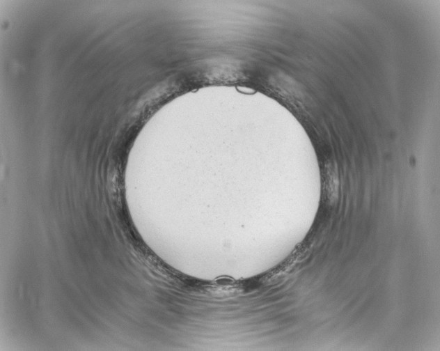 X0000059850619200511181540