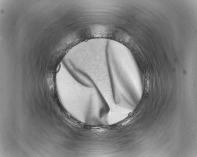 X0000059850620200511181540