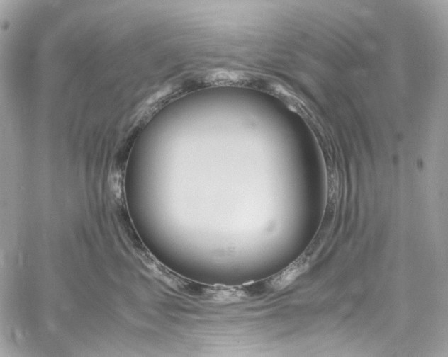 X0000059850621200511181540