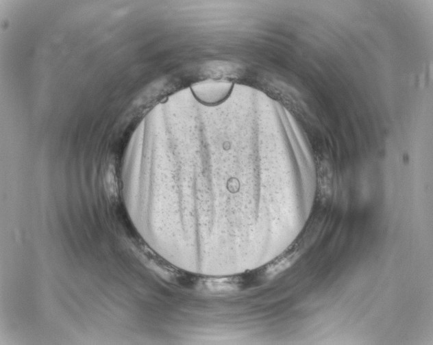 X0000059850622200511181540