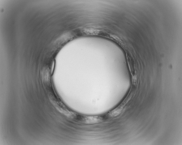 X0000059850623200511181540