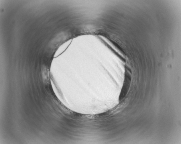 X0000059850624200511181540