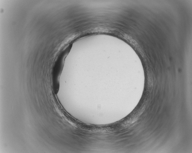 X0000059850625200511181539