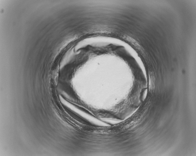 X0000059850627200511181539