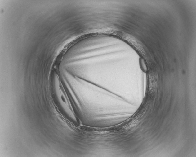 X0000059850628200511181539