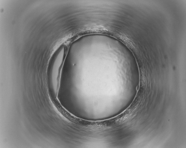 X0000059850630200511181539