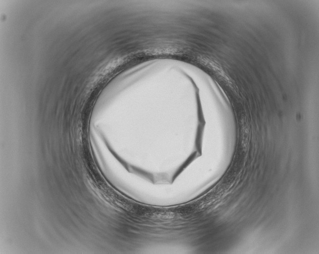 X0000059850631200511181539