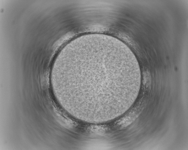 X0000059850632200511181539