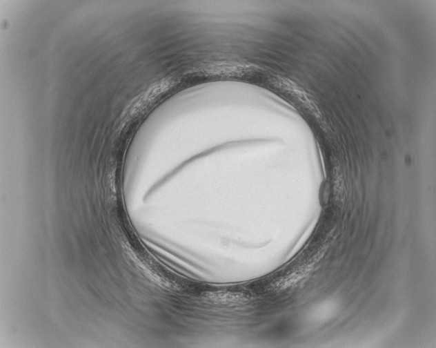 X0000059850633200511181539