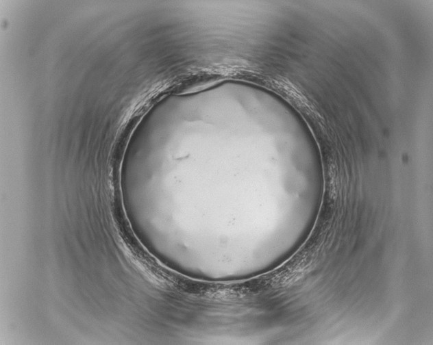 X0000059850634200511181539