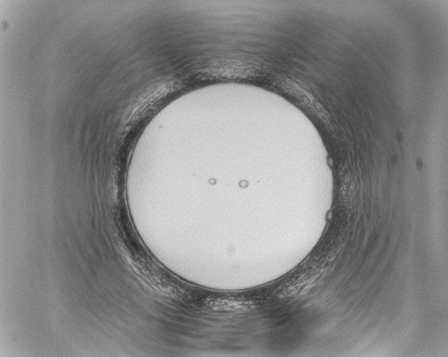 X0000059850635200511181539