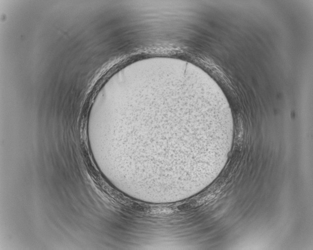 X0000059850636200511181539