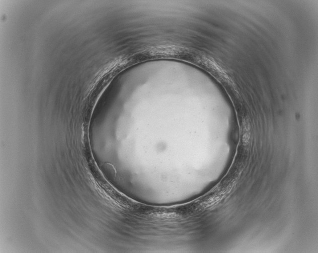 X0000059850637200511181539