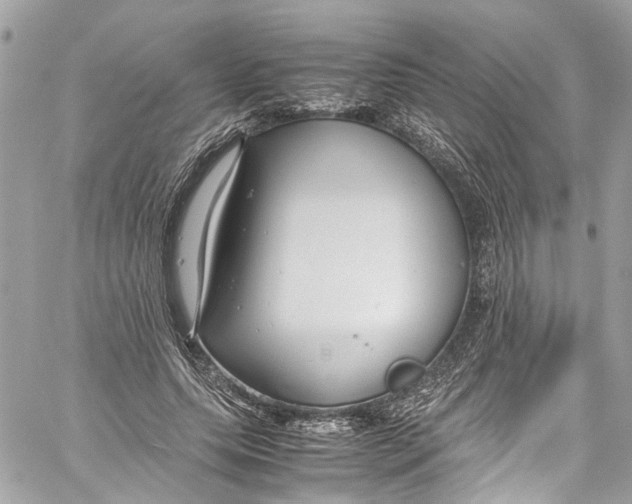 X0000059850639200511181539