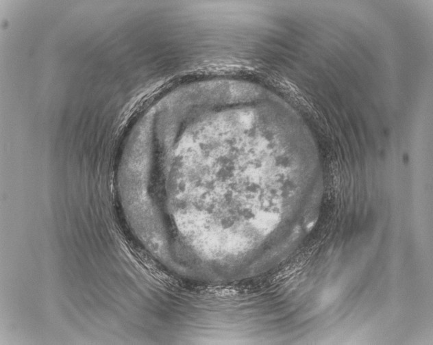 X0000059850640200511181539