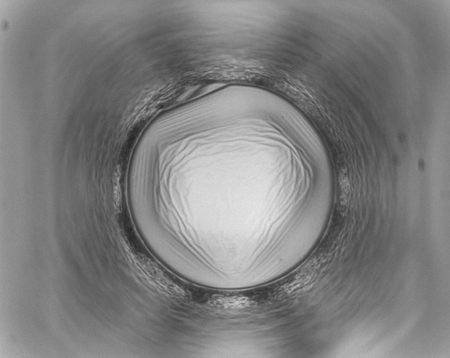 X0000059850642200511181539