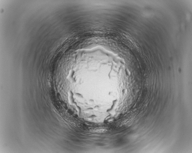 X0000059850643200511181539