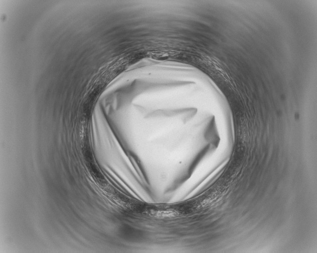 X0000059850645200511181539