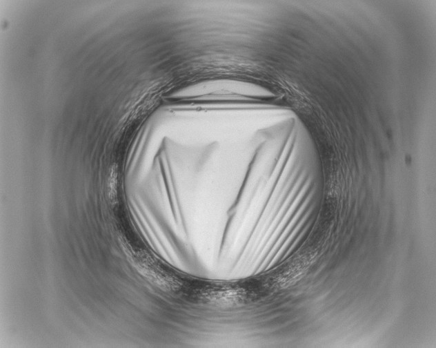 X0000059850646200511181539