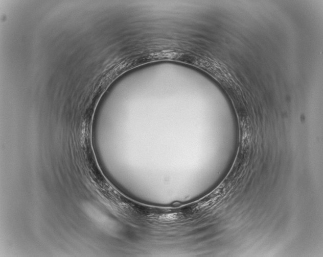 X0000059850647200511181539