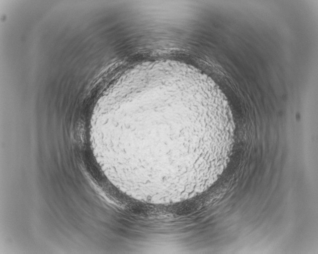 X0000059850648200511181539