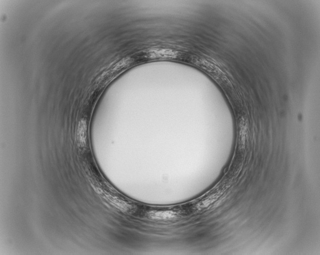 X0000059850649200511181539