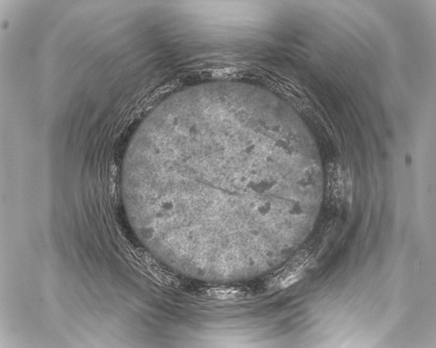 X0000059850650200511181539