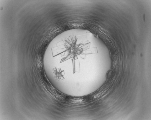 X0000059850651200511181539