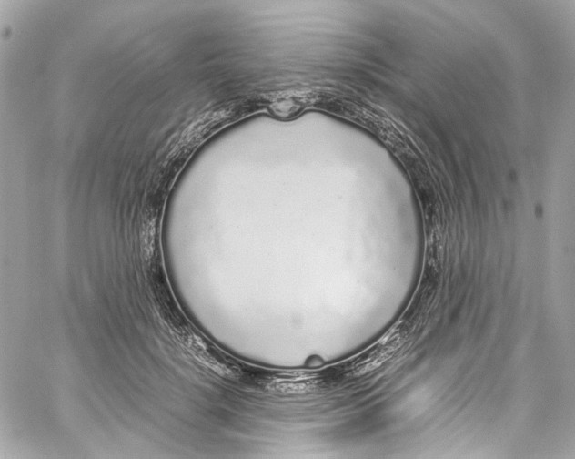 X0000059850652200511181539