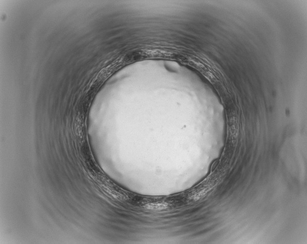 X0000059850653200511181539