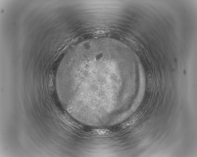 X0000059850654200511181539