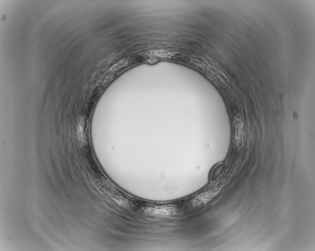 X0000059850655200511181539