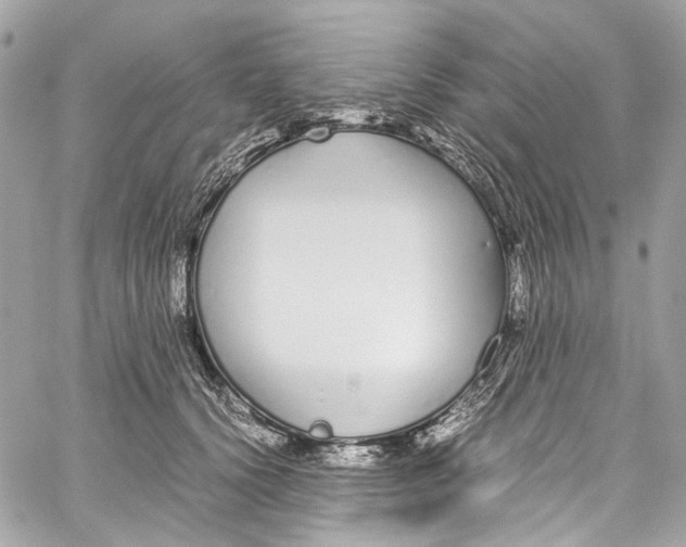 X0000059850656200511181539