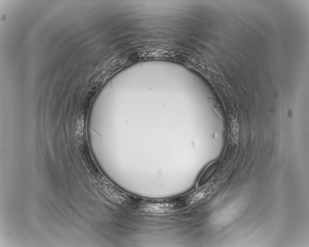 X0000059850657200511181539