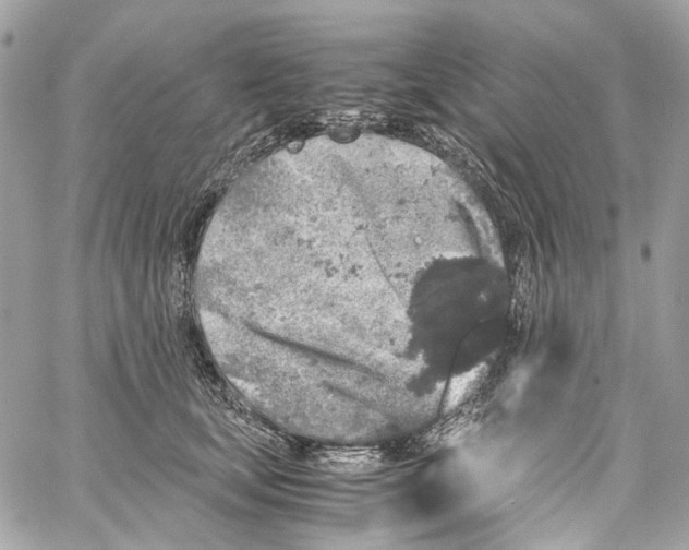 X0000059850659200511181539