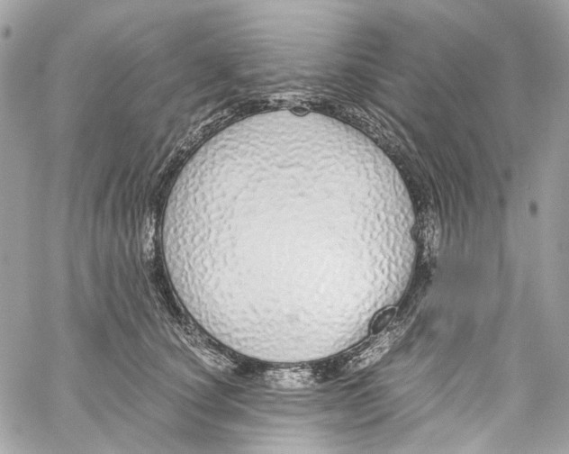 X0000059850660200511181539