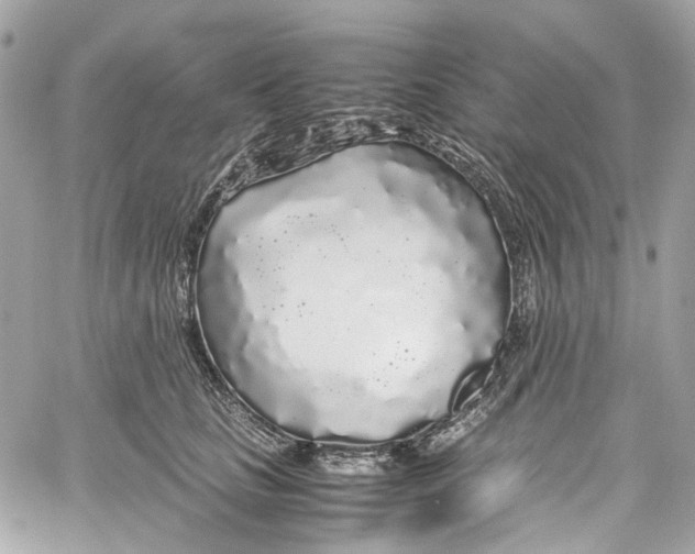 X0000059850661200511181539