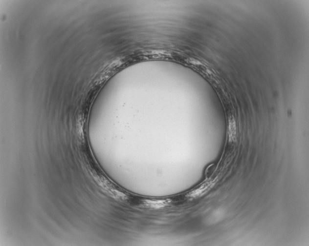 X0000059850662200511181540