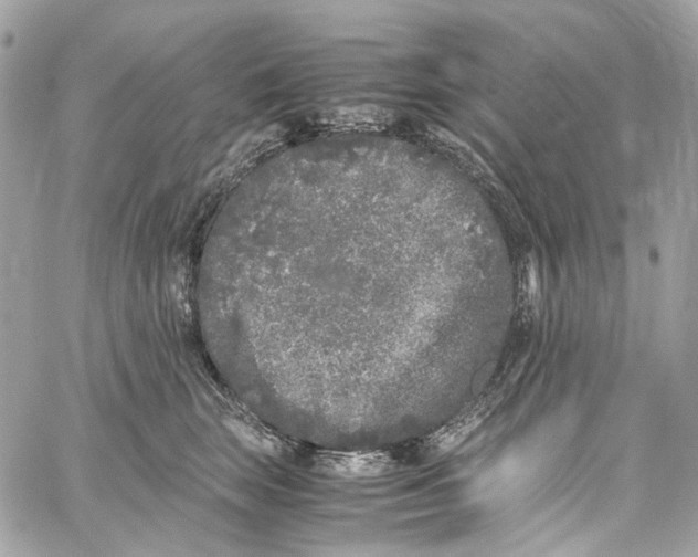 X0000059850663200511181540