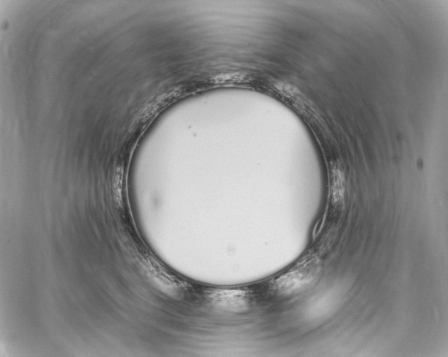 X0000059850664200511181540