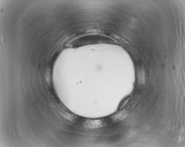 X0000059850665200511181540