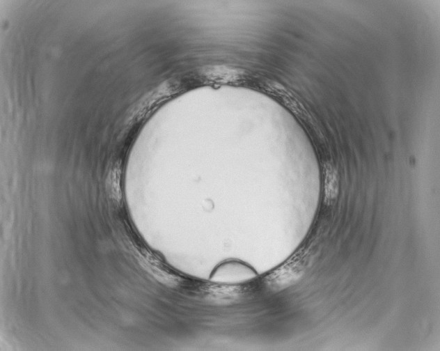 X0000059850666200511181540