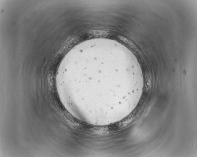 X0000059850667200511181540