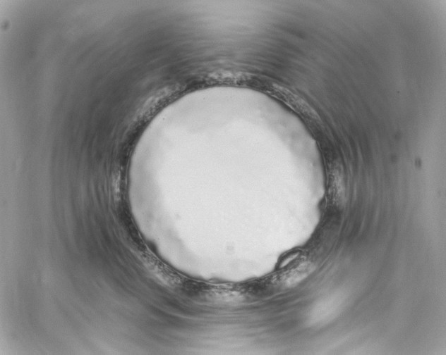 X0000059850668200511181540