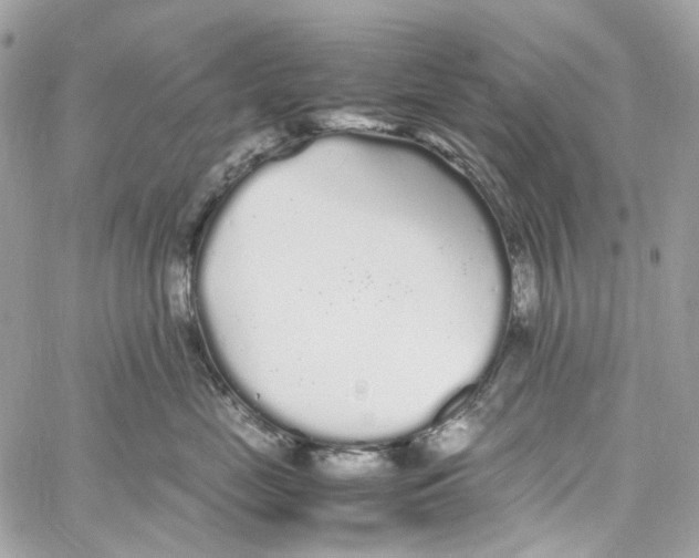 X0000059850669200511181540