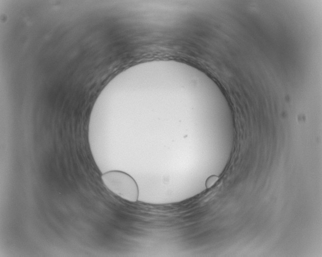 X0000059850672200511181540